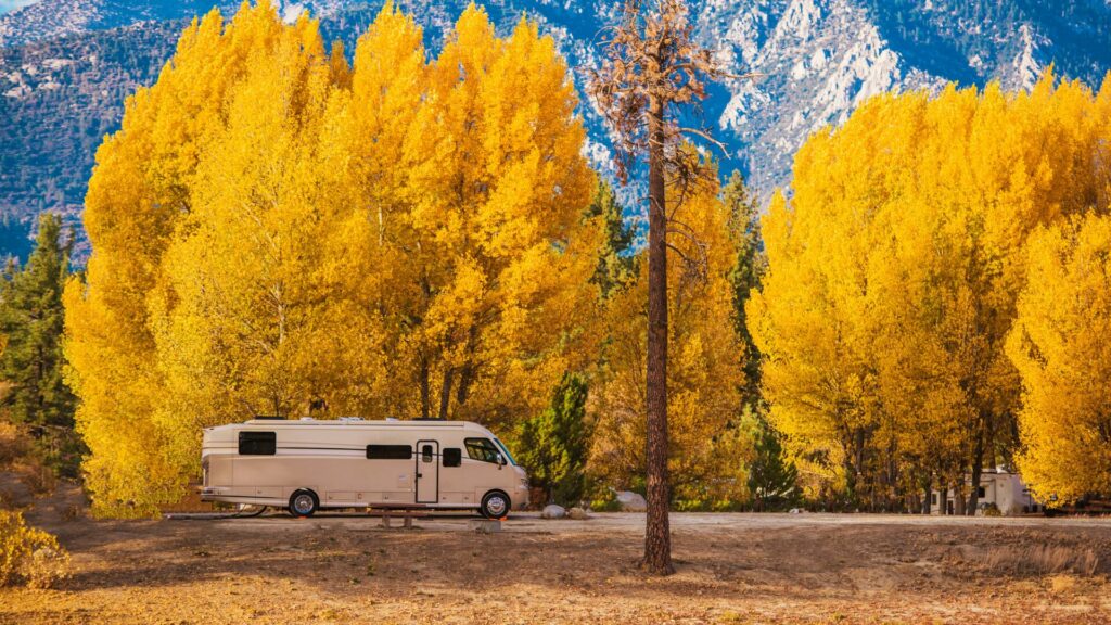 RV parked in front a row of yellowing trees at the base of a mountain. 