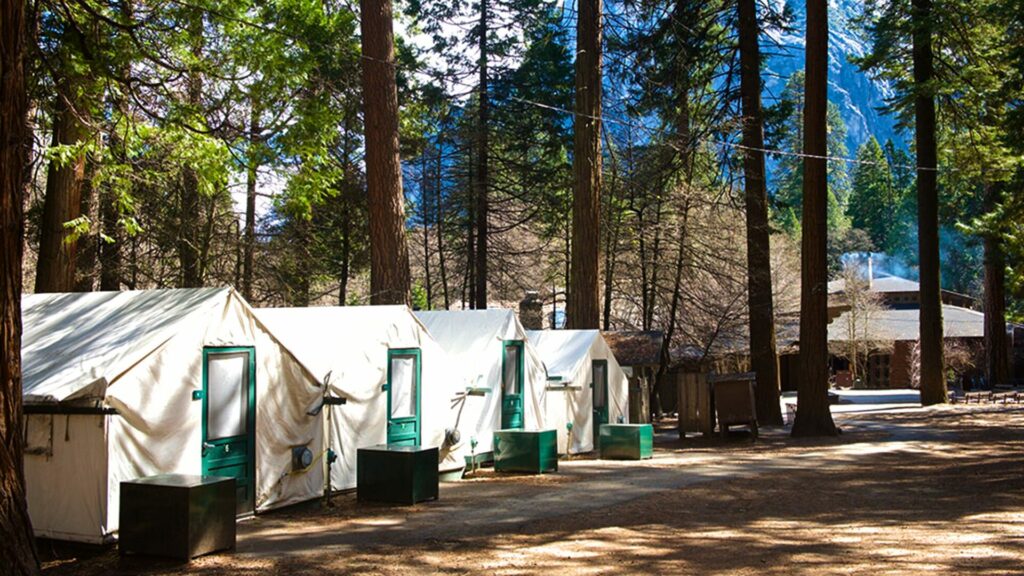 Four side-by-side glamping tent cabins at Curry Village in the heart of Yosemite Valley. 