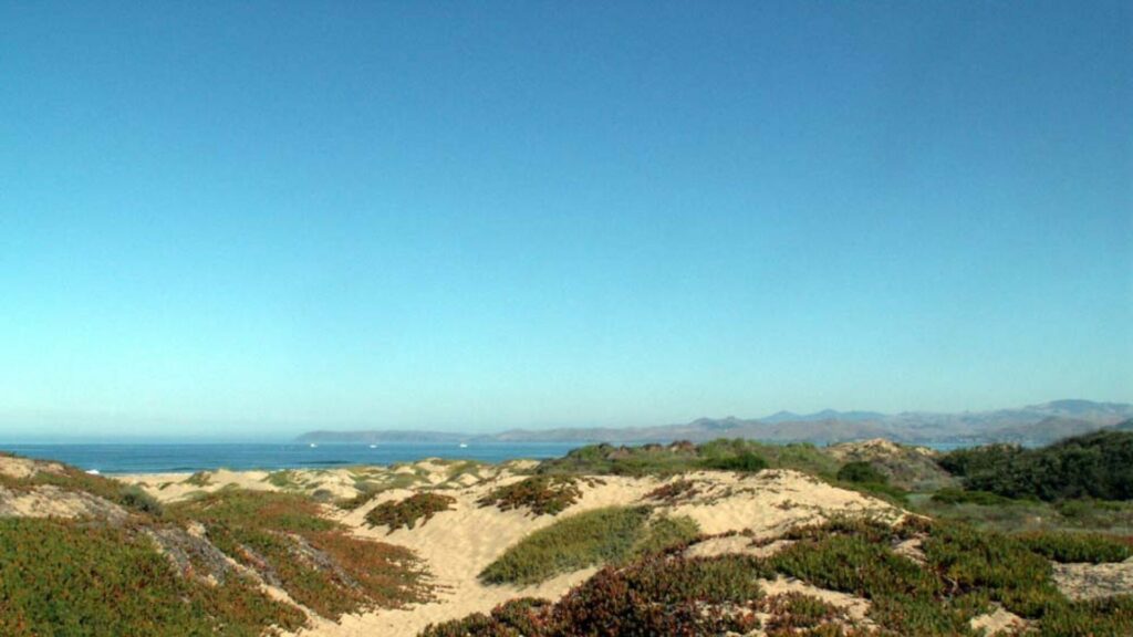 Sand dunes featured near the Morro Dunes RV Park. 