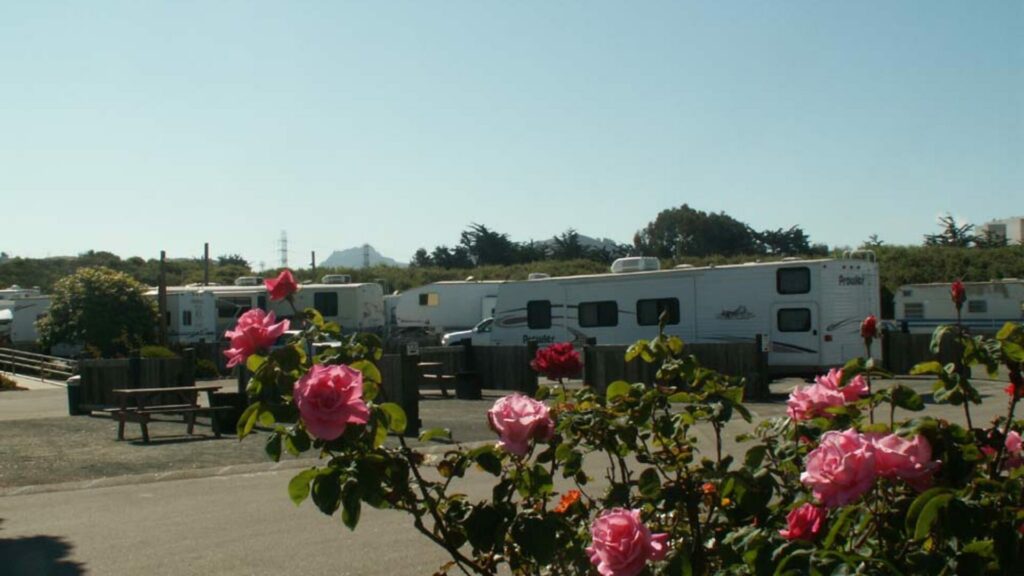 RV Sites at the Morro Dunes RV Park with a rose bush in the foreground. 