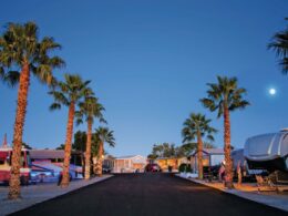 A dusk photo of the Araby RV Resort with palm trees lining the driveway.