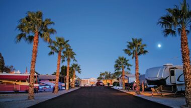 A dusk photo of the Araby RV Resort with palm trees lining the driveway.