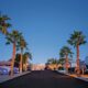 A dusk photo of the Araby RV Resort with palm trees lining the driveway.