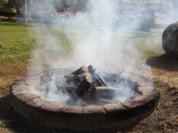 A photo of a smokey campfire.