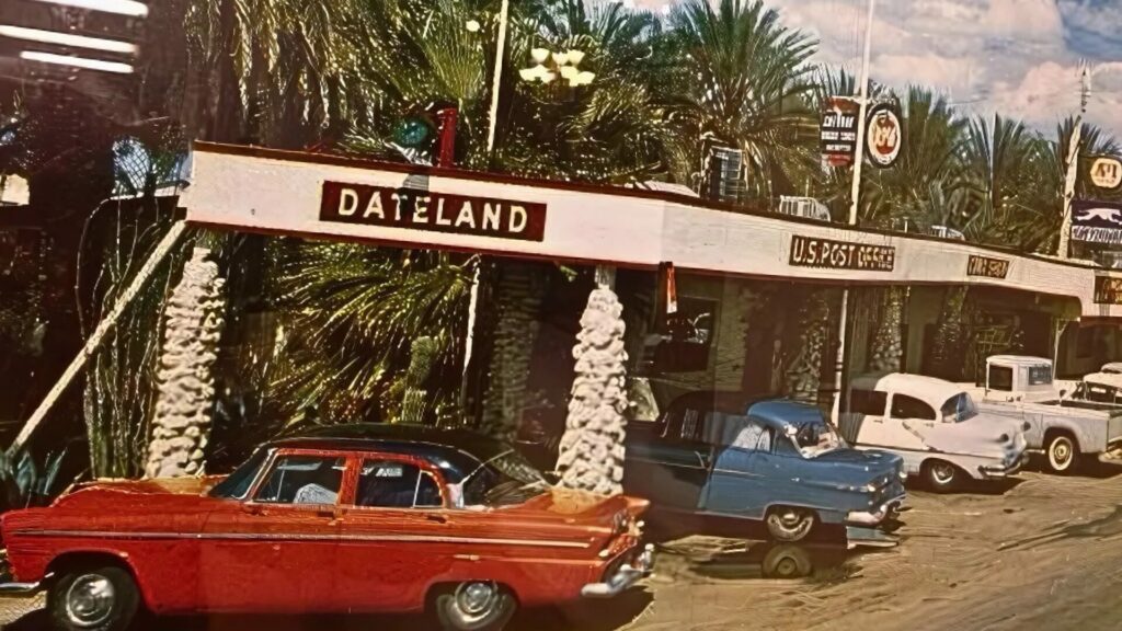 A vintage photo of Dateland, Arizona with cars from the 50's or 60's lined up side by side with Date trees in the background. 